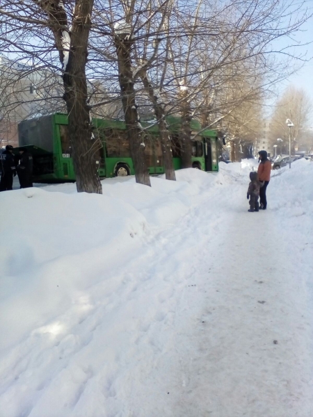 В Екатеринбурге автобус маршрута №1 врезался в дерево (фото)