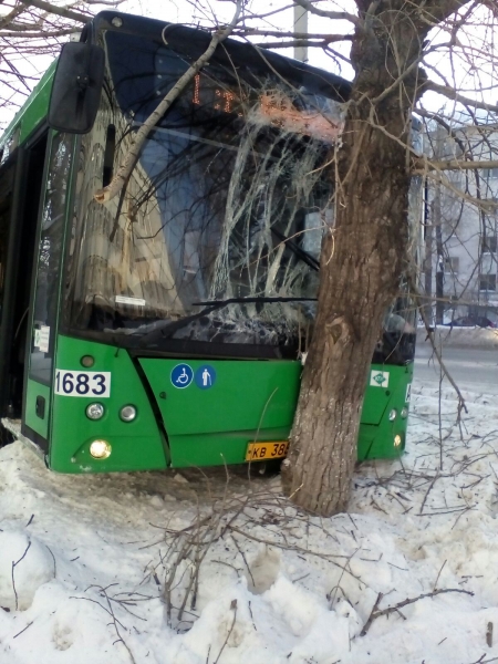 В Екатеринбурге автобус маршрута №1 врезался в дерево (фото) В Екатеринбурге автобус маршрута №1 врезался в дерево (фото)