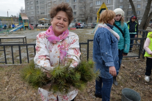 Челябинцам снова бесплатно раздали саженцы хвойных деревьев