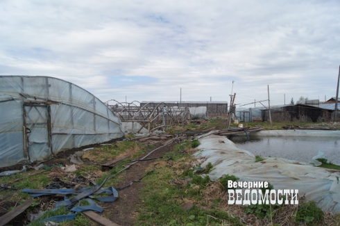 «Новые русские крестьяне» в Белоярском