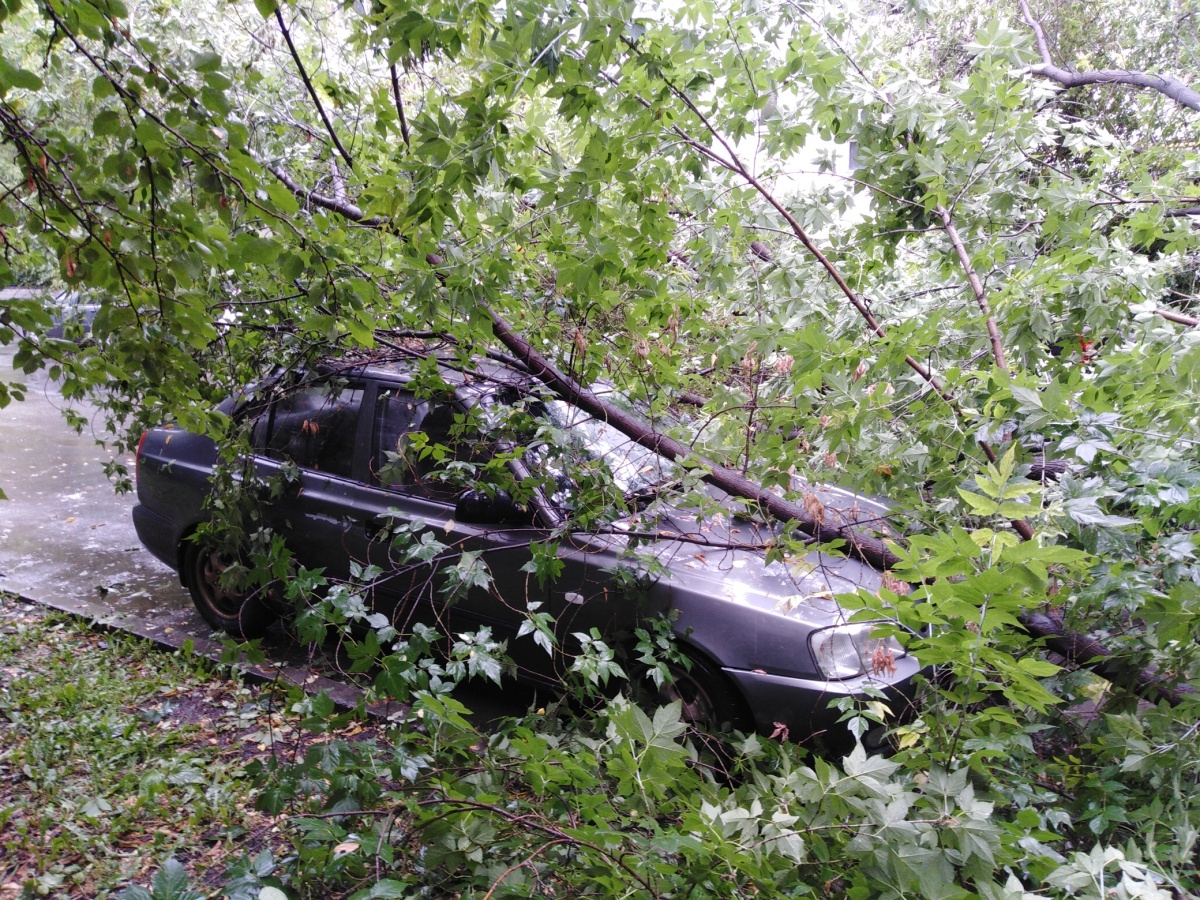 Екатеринбург и пригород на одно утро превратились в Венецию