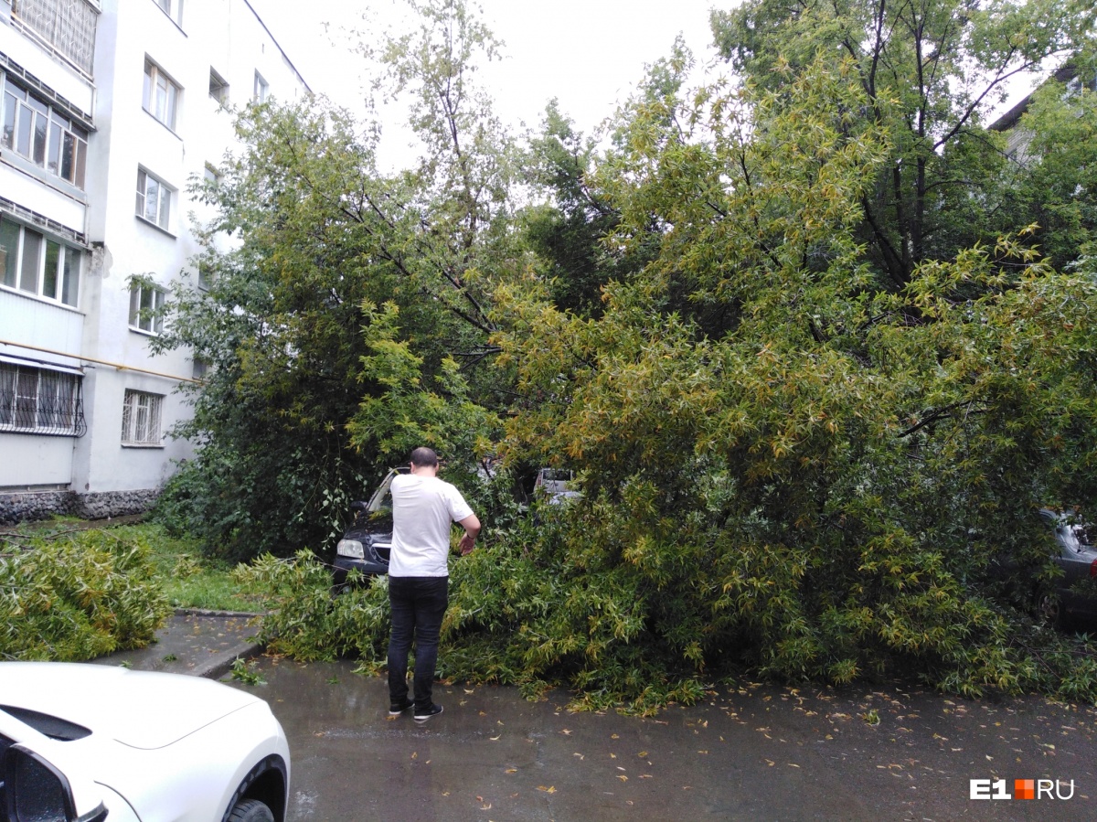 Екатеринбург и пригород на одно утро превратились в Венецию